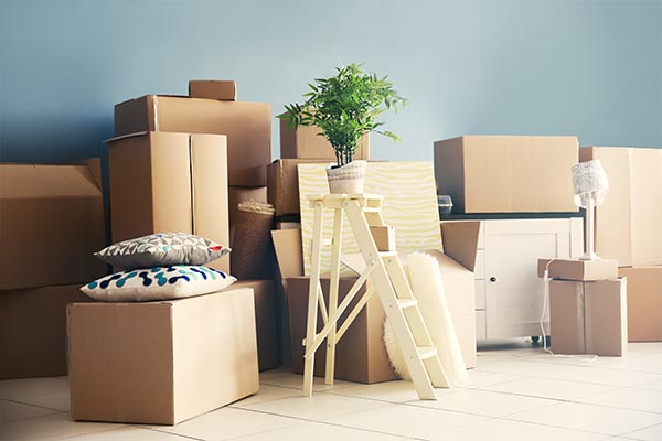 Shiv Shambu Packers And Movers